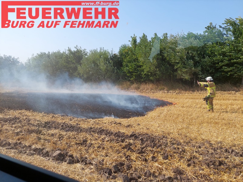 FEU K FEU K